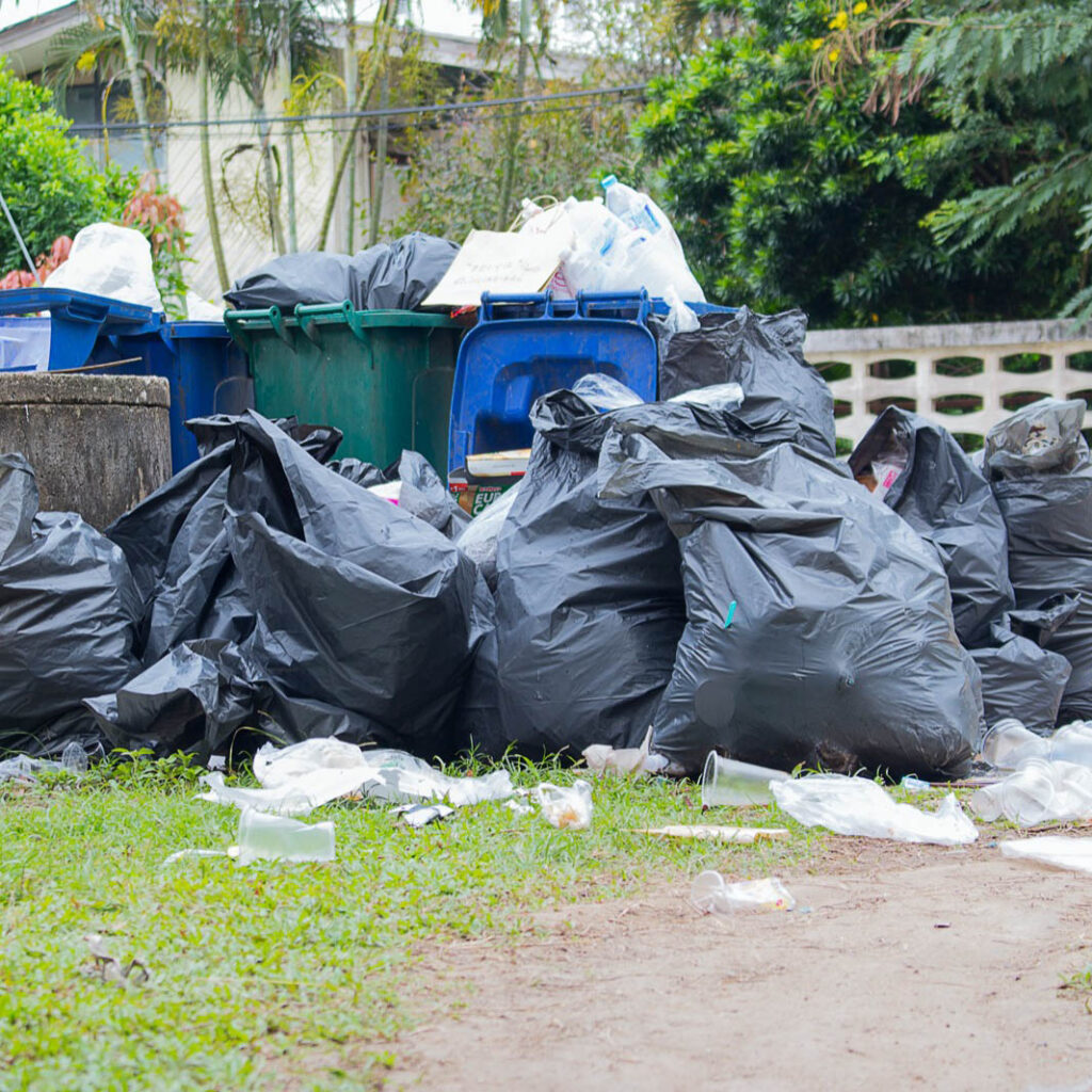 trash bags in lawn ready for Gent's Junk Removal services