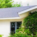 roofing shingle removal